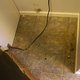 Illustration for article titled DIY: How To Give Your Apartment A Bold New Floor For Less Than $100